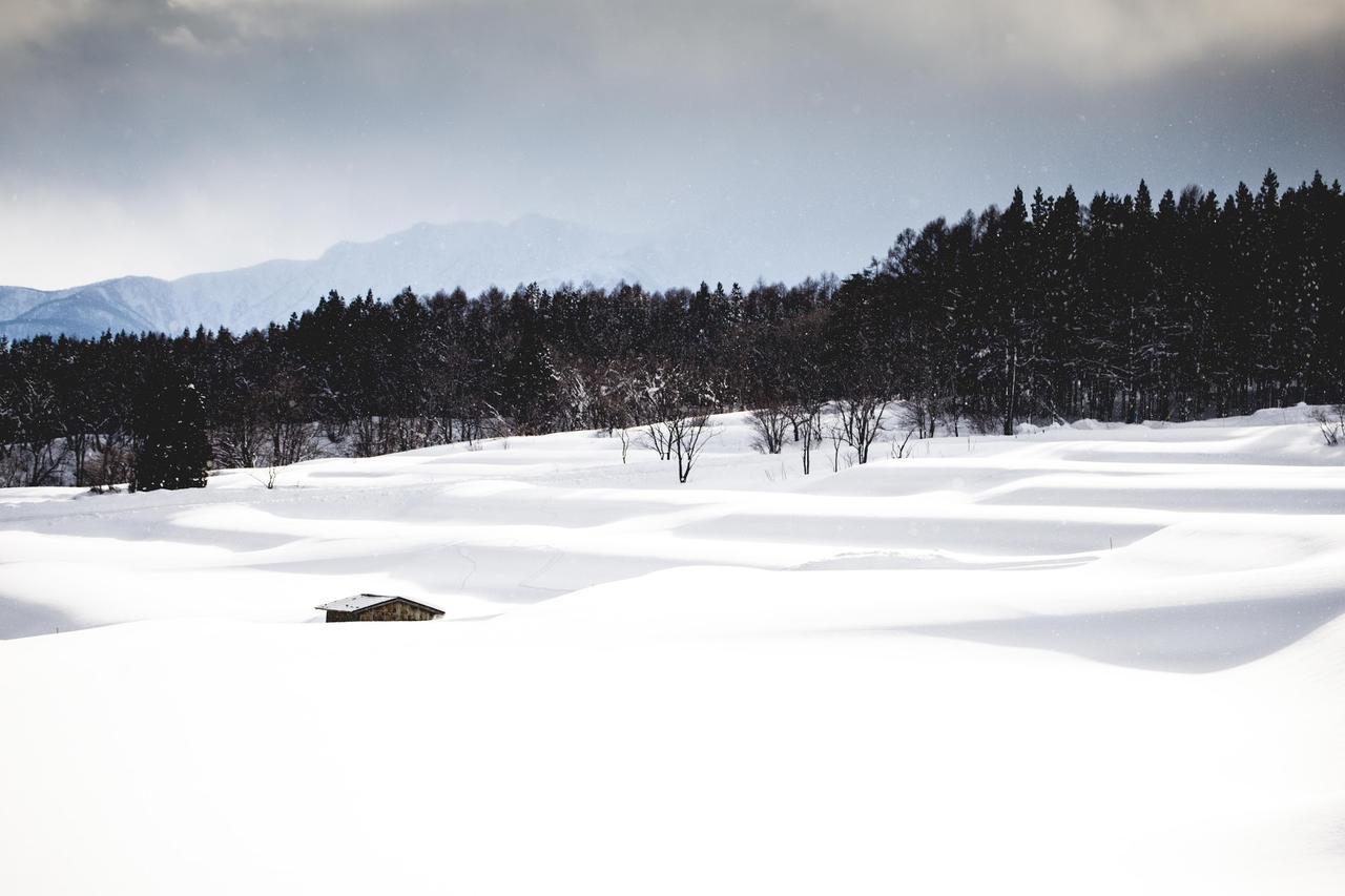 Hakuba Cortina Lodge Otari Extérieur photo